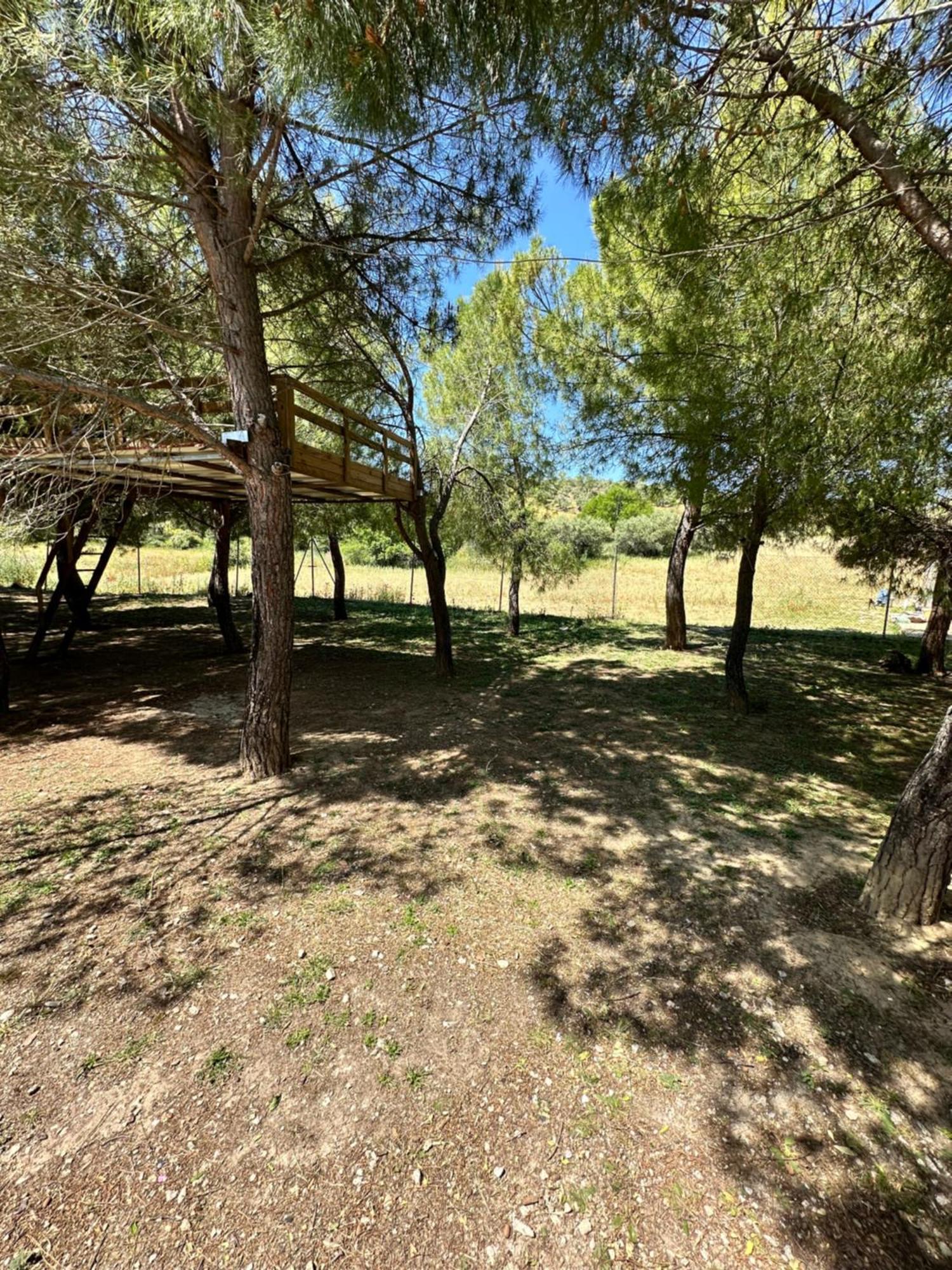 Bungalow Infanta Torrelaguna Kültér fotó